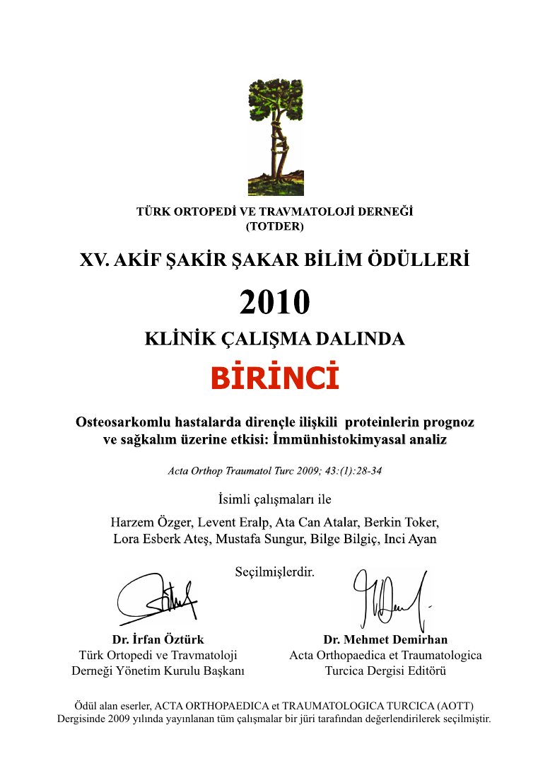 2010 ASS ödülü — ilk sayfa
