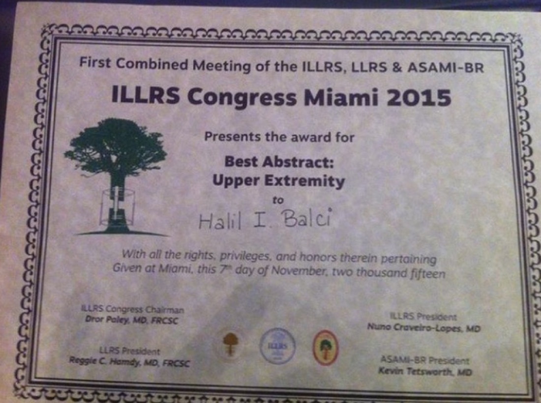 ILLRS 2015 — ilk sayfa