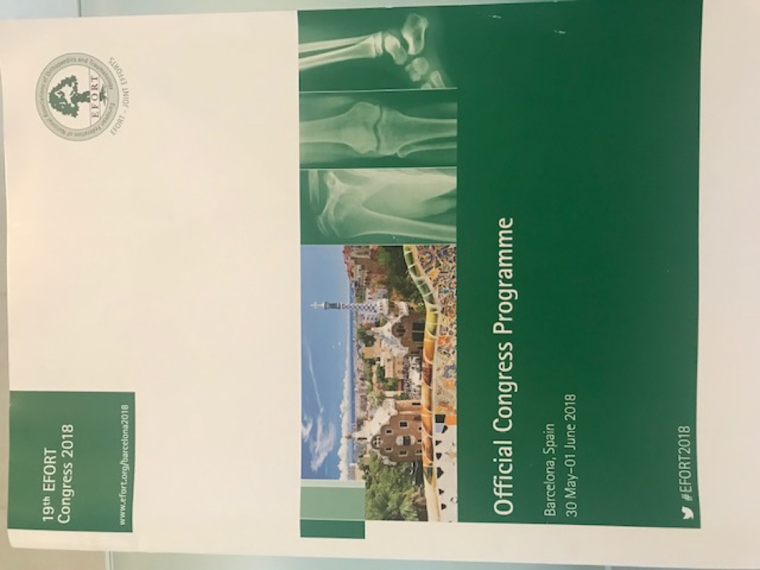 EFORT 2018 — ilk sayfa