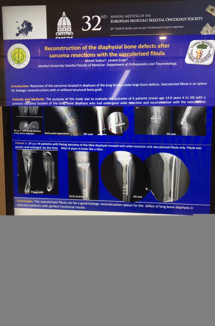 EMSOS 2019 — ilk sayfa