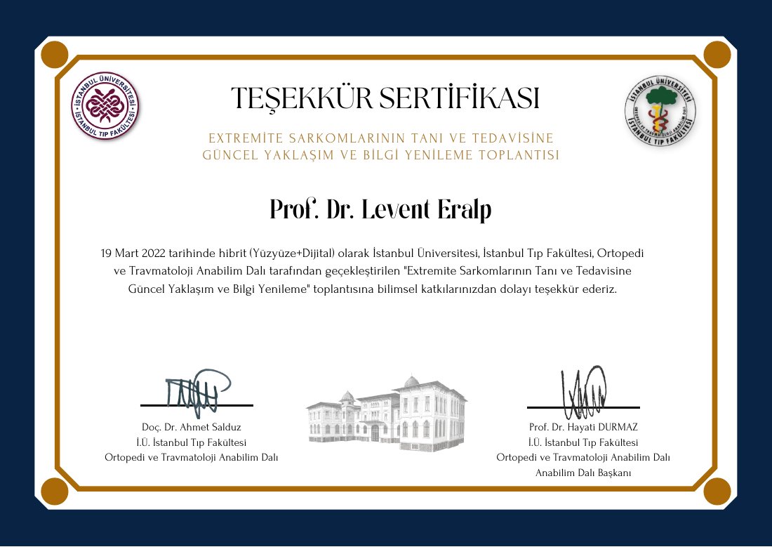 LeventEralp — ilk sayfa